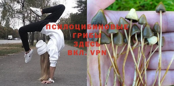 тгк Покачи