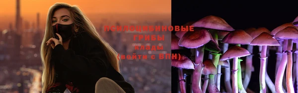дмт Арсеньев