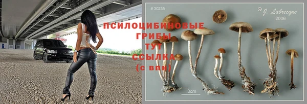 дмт Арсеньев