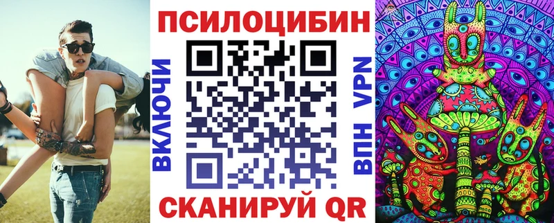 Галлюциногенные грибы Psilocybe  Сковородино 
